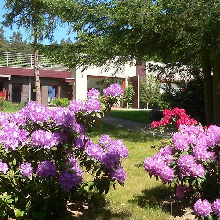 Lesna Wiselka Apartment Exterior photo