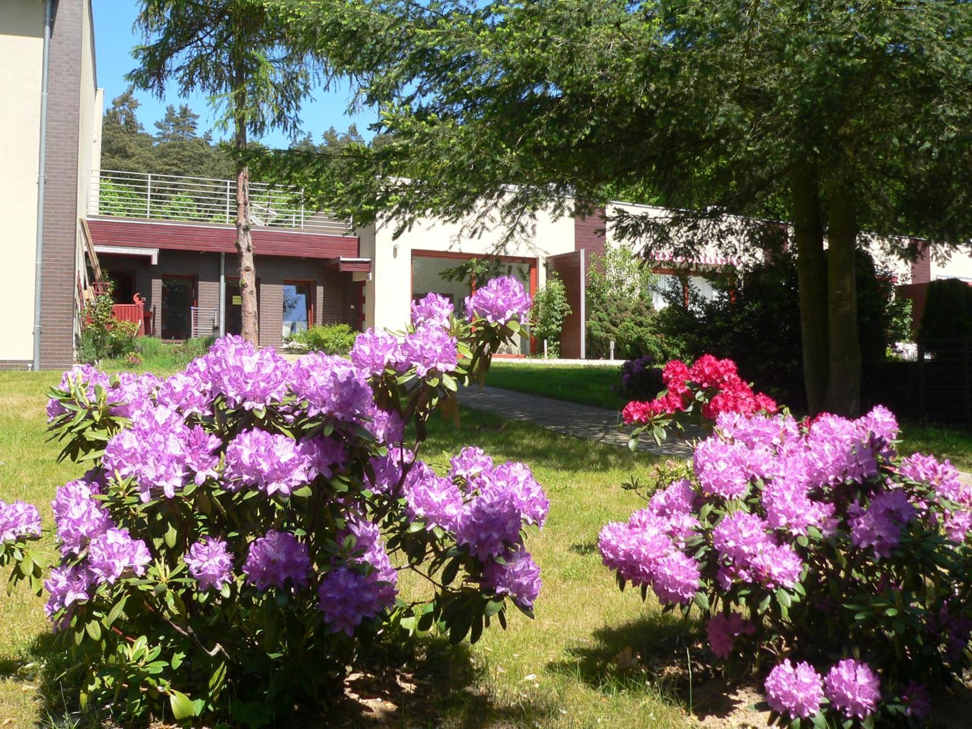 Lesna Wiselka Apartment Exterior photo